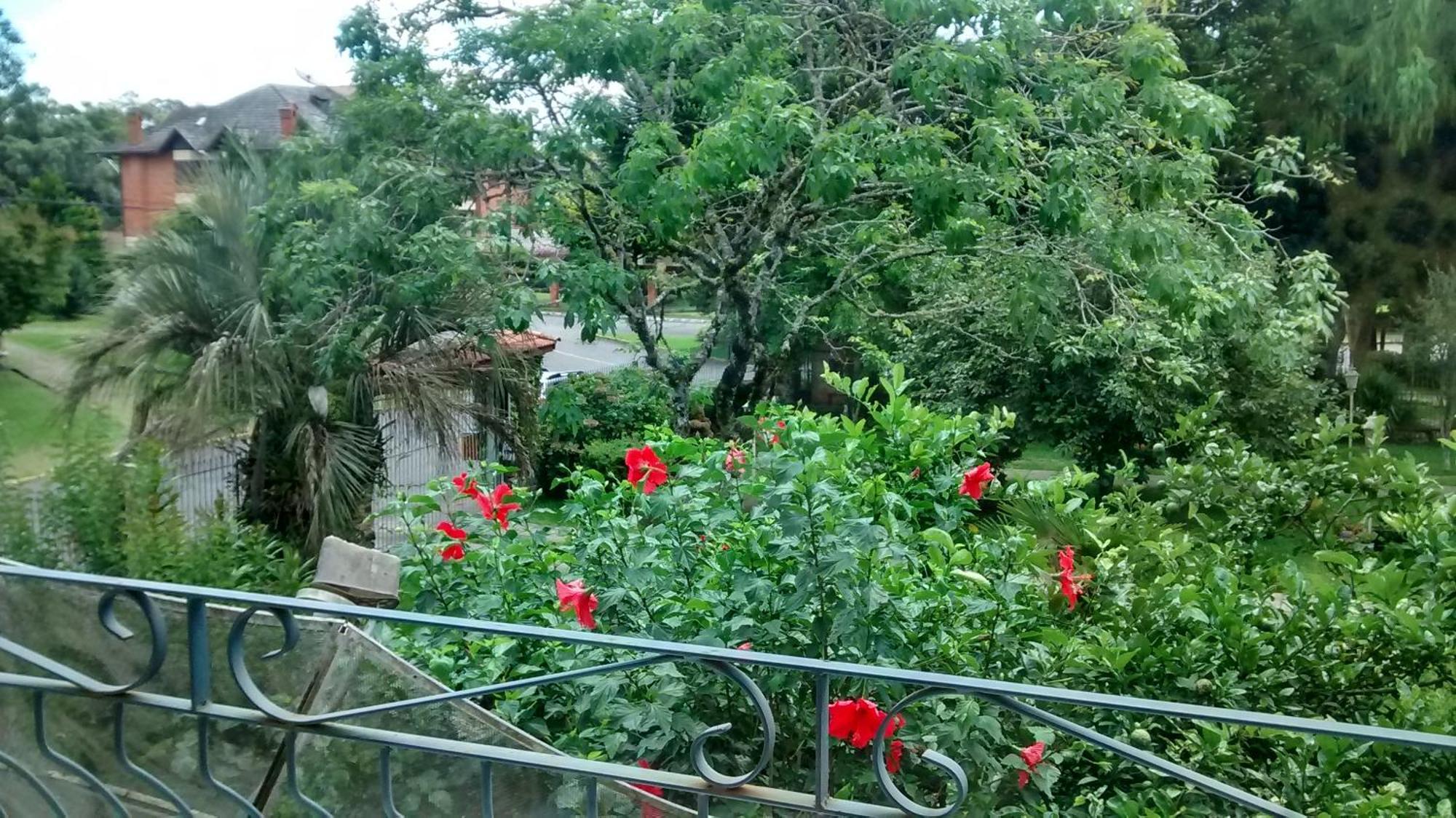 Estrelatto Residence Грамаду Номер фото